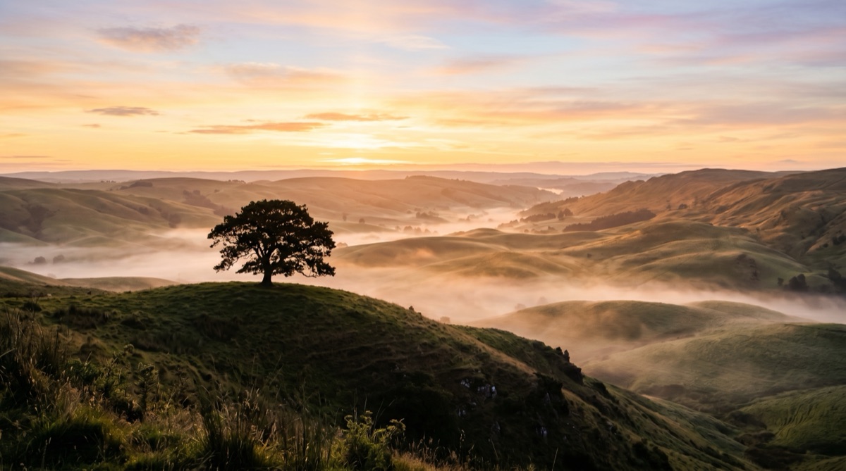 Sunrise over rolling hills